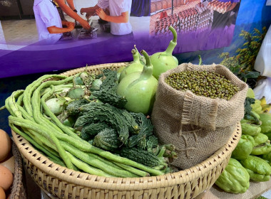 สมเด็จพระกนิษฐาธิราชเจ้า กรมสมเด็จพระเทพรัตนราชสุดา ฯ ... พารามิเตอร์รูปภาพ 89